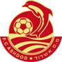 team-logo