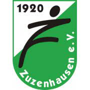 team-logo