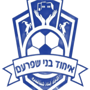 team-logo