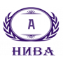 homeLogo