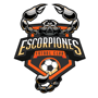 team-logo
