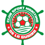 team-logo