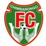 team-logo