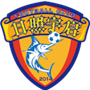 team-logo