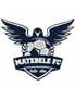 team-logo
