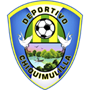 team-logo