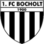 team-logo