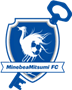 team-logo