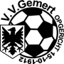 team-logo
