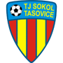 team-logo