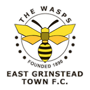 team-logo