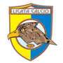 team-logo
