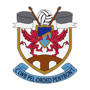team-logo