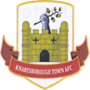 team-logo