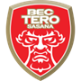 team-logo
