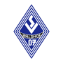 team-logo