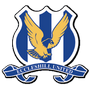 team-logo