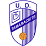 team-logo