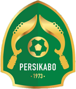 team-logo